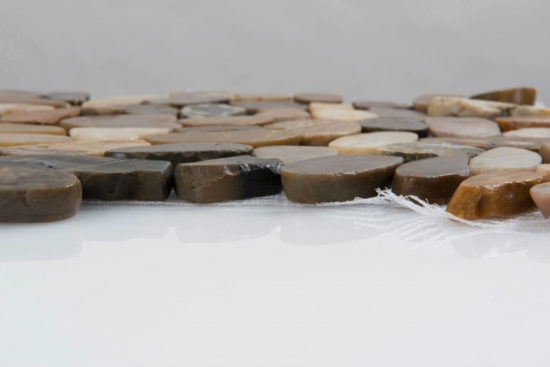 12X12 Flat Bora Wilderness | Alita Tile