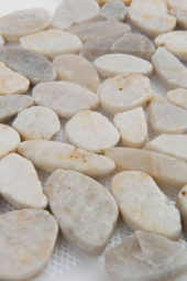 12X12 Flat Fiji Cream | Alita Tile