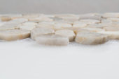 12X12 Flat Fiji Cream | Alita Tile