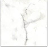 12X12F Calacatta | Alita Tile
