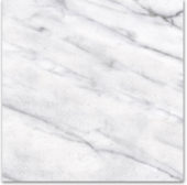 12X12F Carrara | Alita Tile