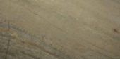 12X24 Earth | Alita Tile