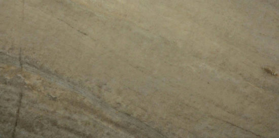 12X24 Earth | Alita Tile