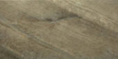 12X24 Earth | Alita Tile