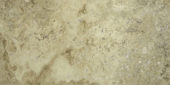 12X24 Picasso | Alita Tile