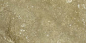 12X24 Picasso | Alita Tile