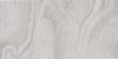 12X24 Spirit Silver | Alita Tile