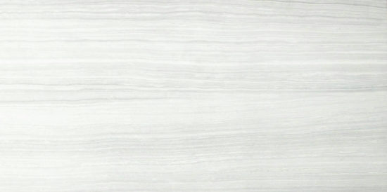 12X24F Ice Polished | Alita Tile