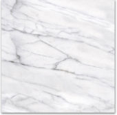 18X18F Carrara | Alita Tile