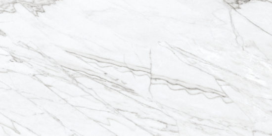 24X48 Matte Glamour White | Alita Tile