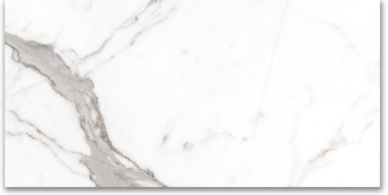 24X48 Polished Amore Grey | Alita Tile