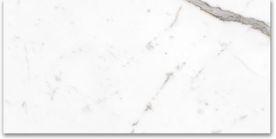 24X48 Polished Amore Grey | Alita Tile