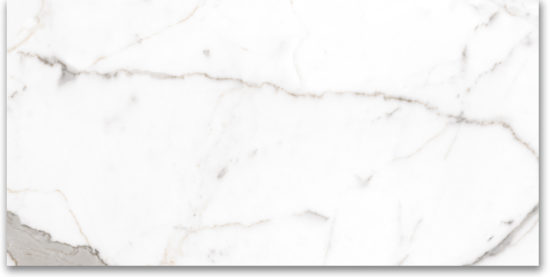 24X48 Polished Amore Grey | Alita Tile