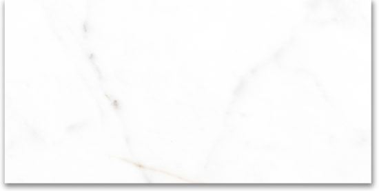 24X48 Polished Amore Grey | Alita Tile