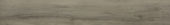 2501-Ash Hickory  | Alita Tile