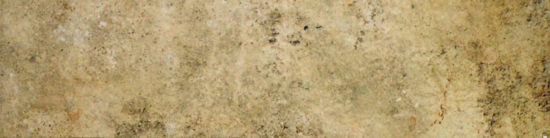 3X12 Beige Bullnose | Alita Tile