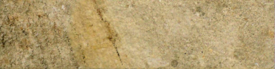 3X12 Beige Bullnose | Alita Tile
