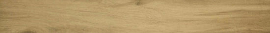 3X24 Acadia Natural Bullnose | Alita Tile