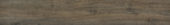 4402-Royal Ash | Alita Tile