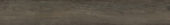 4402-Royal Ash | Alita Tile