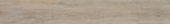 4408-Light Ash | Alita Tile