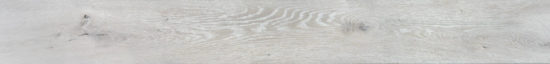 4562-Seashell | Alita Tile