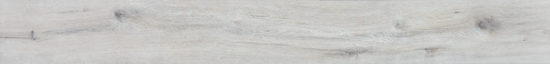 4562-Seashell | Alita Tile