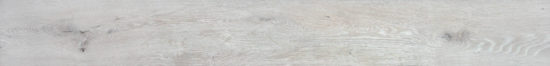 4562-Seashell | Alita Tile