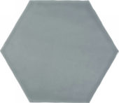 6" Argent Sterling Glossy Hexagon | Alita Tile
