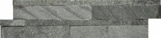 6X24F Astro Silver | Alita Tile