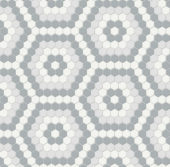 Afternoon Blend Matte Hexagon Pattern Mosaic | Alita Tile