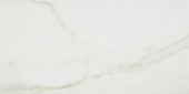 Amalfi Calacatta Honed 12X24 | Alita Tile