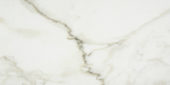 Amalfi Calacatta Honed 12X24 | Alita Tile