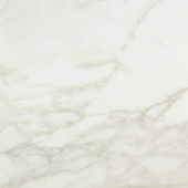 Amalfi Calacatta Honed 24X24 | Alita Tile