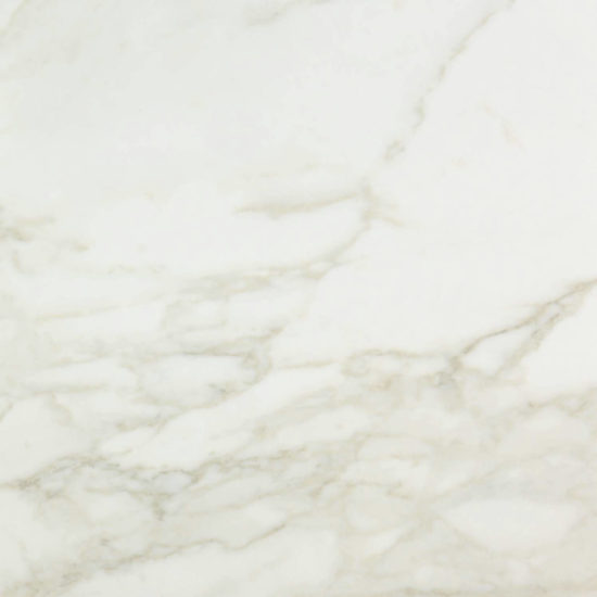 Amalfi Calacatta Honed 24X24 | Alita Tile