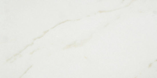 Amalfi Calacatta Honed 24X48 | Alita Tile