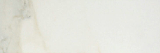 Amalfi Calacatta Honed 4X12 | Alita Tile