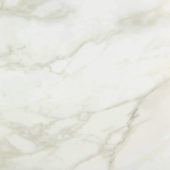 Amalfi Calacatta Polished 24X24 | Alita Tile