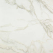 Amalfi Calacatta Polished 32X32 | Alita Tile