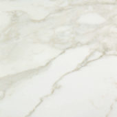 Amalfi Calacatta Polished 32X32 | Alita Tile