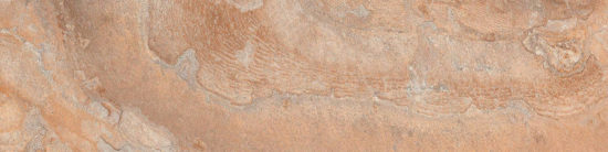 Annapurna Beige 3X12 Bullnose | Alita Tile