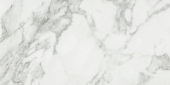 Arabescato Verona Honed 12X24 | Alita Tile