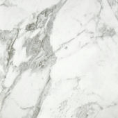 Arabescato Verona Honed 24X24 | Alita Tile