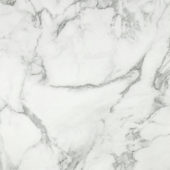 Arabescato Verona Honed 24X24 | Alita Tile