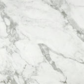 Arabescato Verona Honed 24X24 | Alita Tile