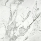 Arabescato Verona Honed 24X24 | Alita Tile