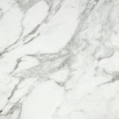 Arabescato Verona Honed 24X24 | Alita Tile