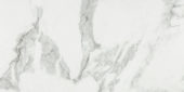 Arabescato Verona Honed 24X48 | Alita Tile