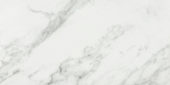 Arabescato Verona Honed 24X48 | Alita Tile