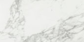 Arabescato Verona Honed 24X48 | Alita Tile
